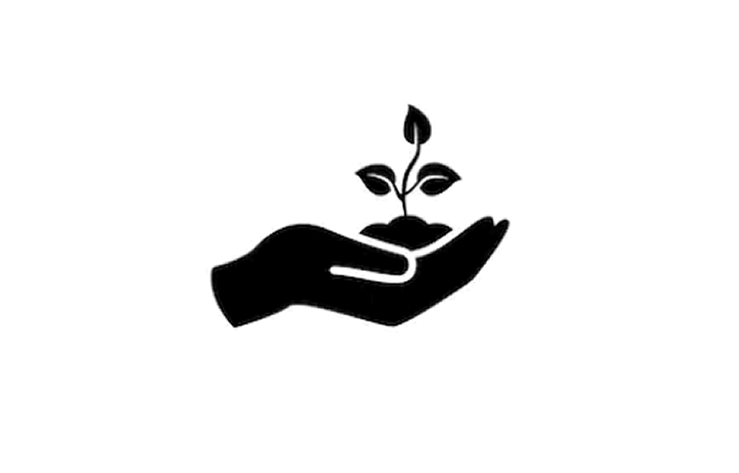 育成能力向上コース